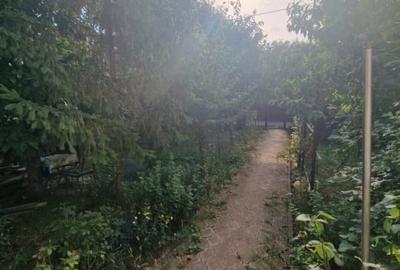 Copou-Constructie 2010-4 dormitoare-Demisol+Parter+Etaj Copou-Constructie 2010-4 dormitoare-Demisol+Parter+Etaj - 18