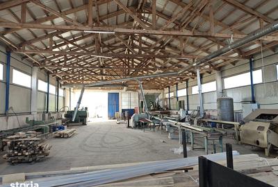 Spațiu comercial, de 43,000 mp, în Voila - 9
