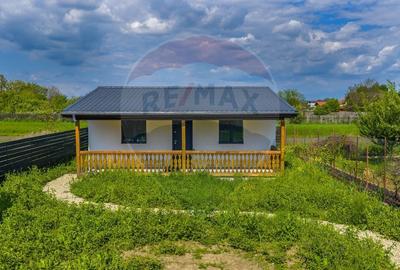 Casă individuală cu 11 camere cu Teren 1007 Mp în Stupini - 18