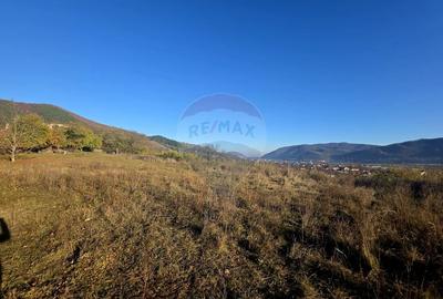 Teren Construcții intravilan de 6874 mp, în Alexandru cel Bun - 3