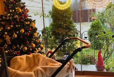 Casă cu 3 camere cu Teren 300 Mp în Ultracentral - 14