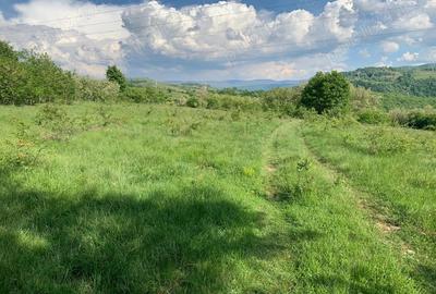 Vand teren zona Carasova! - 2