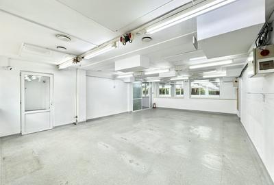 Spațiu industrial, de 2,021 mp, în Central - 6