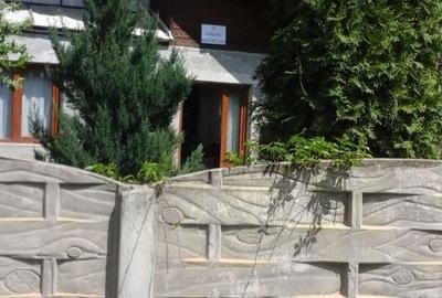 Casă cu 3 camere în Păltiniș - 4