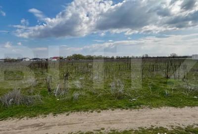 Teren în Cernele - 1