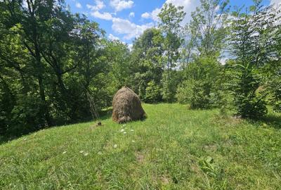 Teren de in Valea Doftanei