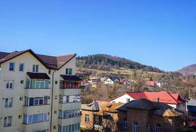 Apartament cu 3 camere decomandat, mobilat în Precista - 12