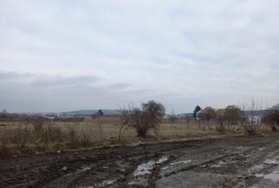 Teren Construcții intravilan de 4000 mp, în Mureșeni