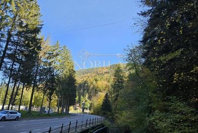 Spațiu comercial, de 700 mp, în Central - 1