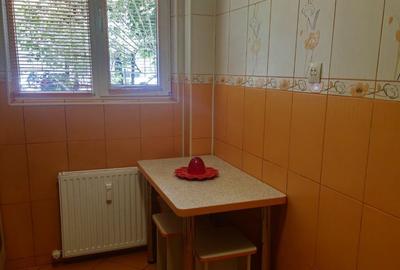 Apartament cu 2 camere semidecomandat în Iancului - 17