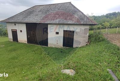 Casă cu 4 camere cu Teren 11769 Mp în Bulz - 10