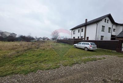 Teren 519mp Dumbrava Rosie / Strada CRANGULUI - 6