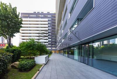Spatiu comercial / birou - 2