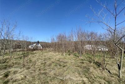 Teren de 2500 mp, în Vest - 7