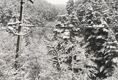 Proprietate in Rasinari - 1