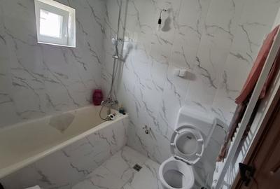 Apartament cu 2 camere decomandat în Nufărul - 2