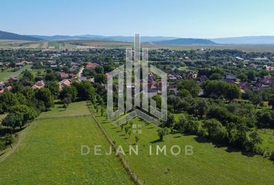 Teren Intravilan | 7.850 mp | Turia - 5