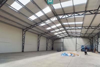 Hala noua in zona industriala Giarmata - 5