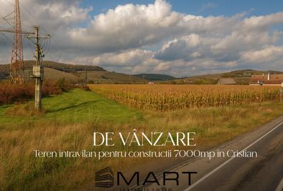 Teren de 7000 mp, în Cristian - 2