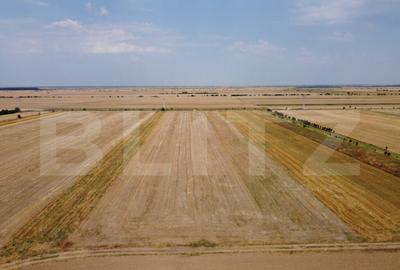 Teren Intravilan, de vanzare, 7500 mp, zona Mircea Voda