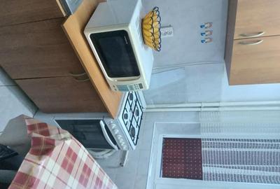 Garsonieră semidecomandată în Brazda lui Novac - 10