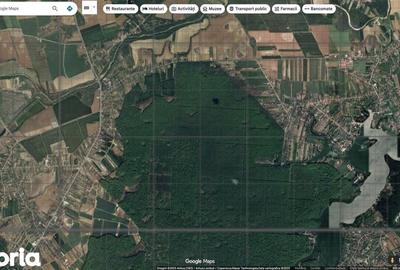 Teren de 4701 mp, în Gruiu - 6