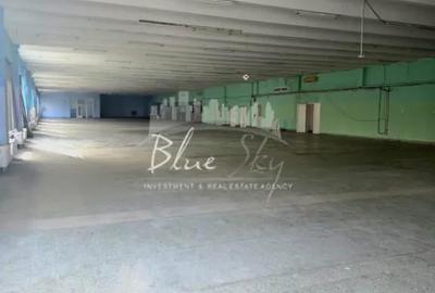 Spațiu comercial, de 1,687 mp, în Central - 13
