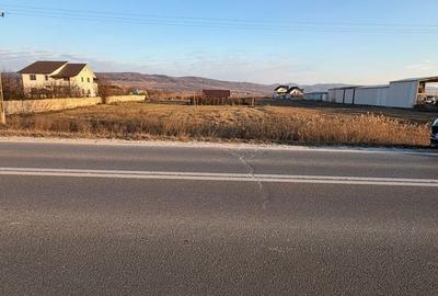 Teren de 1000 mp, în Buhoci - 10