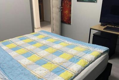 Apartament cu 3 camere decomandat în Muncii - 2