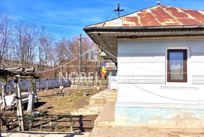 Casa, teren si padure, in sat Siscani, jud Vaslui - 9
