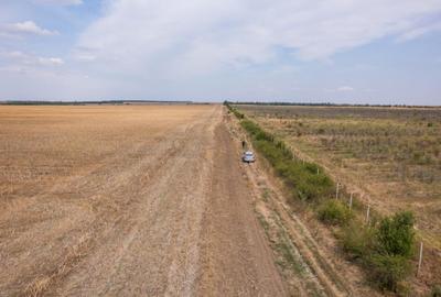 FRUMUSANI - PASAREA, TEREN 14420 MP, FRONT 40 M! - 24