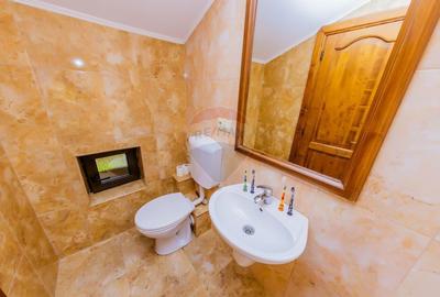 DE VANZARE - Casa P+M, Baia Mare, str. Toamnei Baia Mare - 16