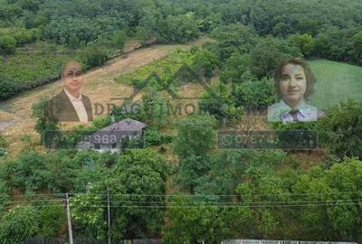 Teren intravilan cu utilități - 3.000 mp / lot - Slobozia Corni, comuna Ghidigen - 7