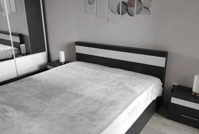 Apartament cu 2 camere decomandat în Titan - 2