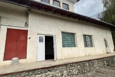 Spatiu comercial multifunctional de inchiriat, Cacica - 1