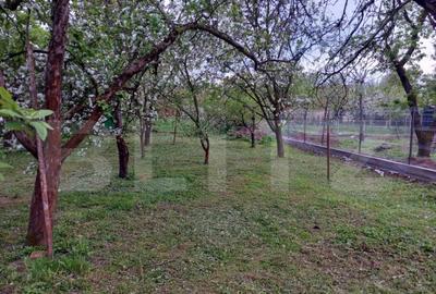 Teren, 600 mp, zona Bercu Rosu - 9