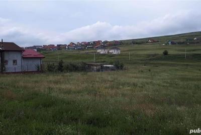 Teren de 15000 mp, în Central