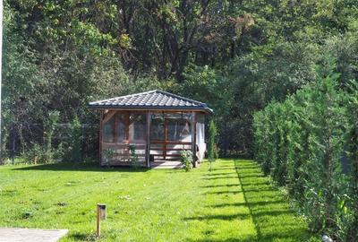 VANZARE CASA CU TEREN 800MP CORBEANCA PADURE - 9