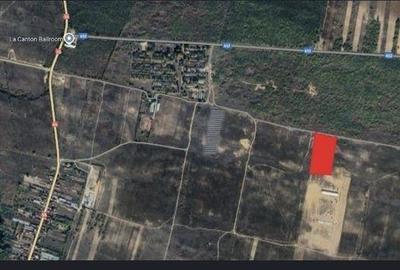 Teren de 8700 mp, în Ghindeni - 3