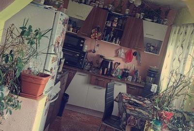 Casa noua cu mansarda si 1.24 hectare teren intravilan - 6