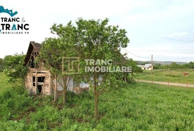 Spațiu industrial, de 317 mp, în Ususău - 7