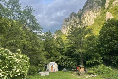 Casă cu 3 camere cu Teren 1700 Mp în Băile Herculane - 2