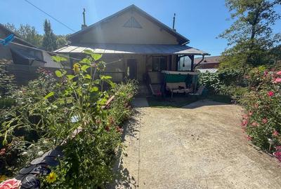 Casa de vacanta sau rezidenta in Adunati, buget redus - 2