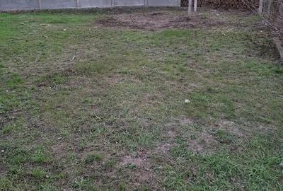 Casă cu 4 camere cu Teren 1639 Mp în Căuașd - 1