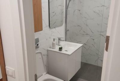 Apartament cu 2 camere decomandat, mobilat în George Enescu - 8