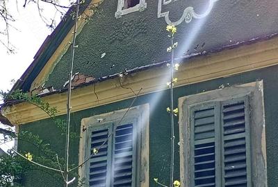 Casă cu 3 camere cu Teren 5400 Mp în Daia (Bahnea) - 1