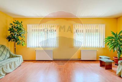 Vila rezidential/ pensiune/ gradina de vis/sera/ panouri/ Sanpetru! - 6