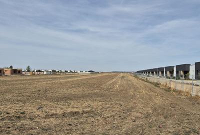 Teren intravilan 16.248 mp - Domnesti - 4