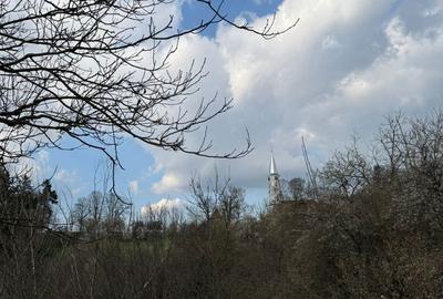 Casă cu 2 camere în Alțina - 4