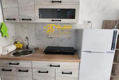 PODU ROS - CENTRAL, Garsoniera, 300 euro - 8